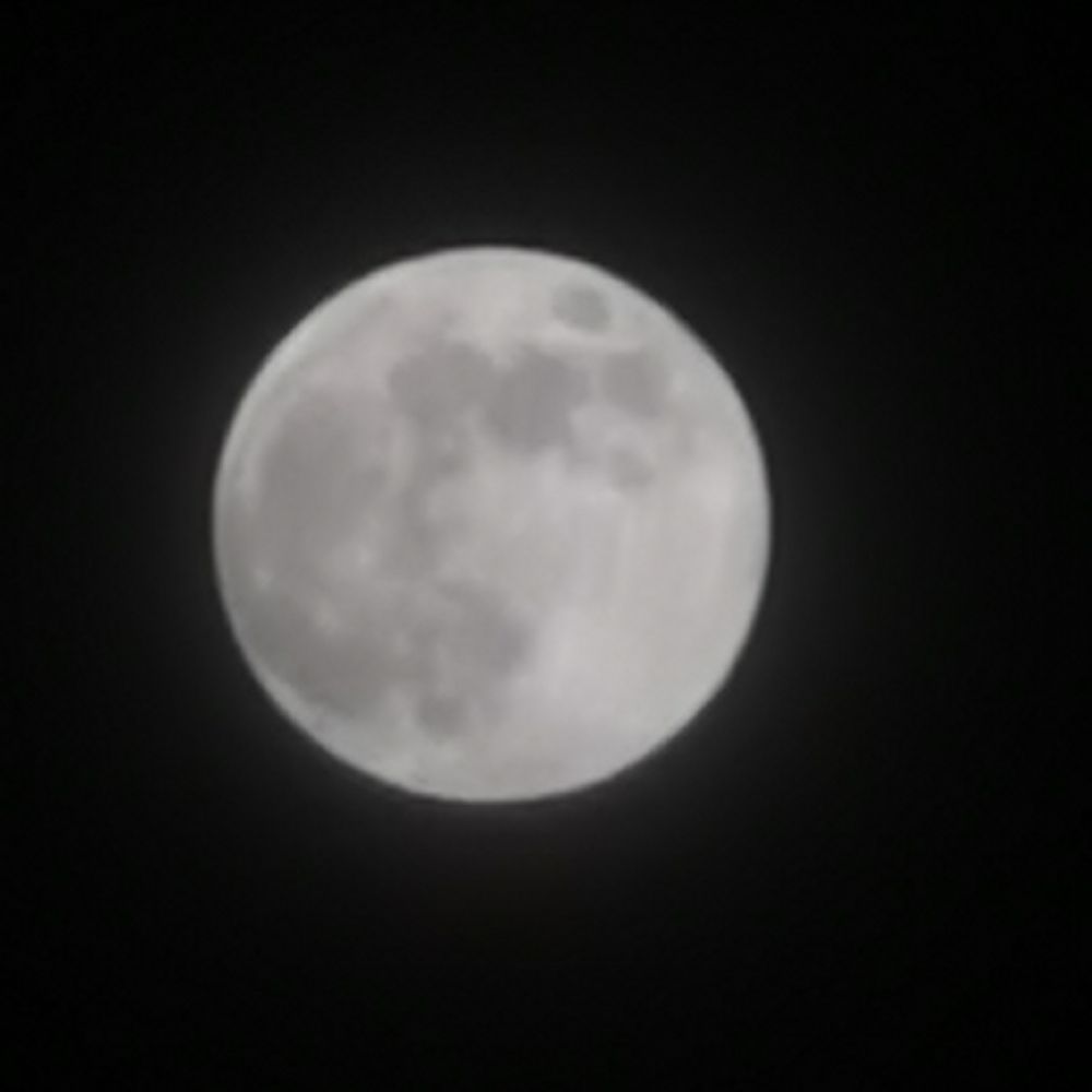 toni1966.bsky.social