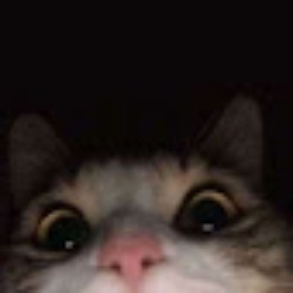 thatmagicalcat