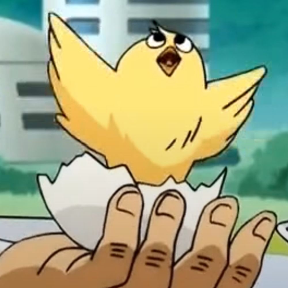 Wingdude100