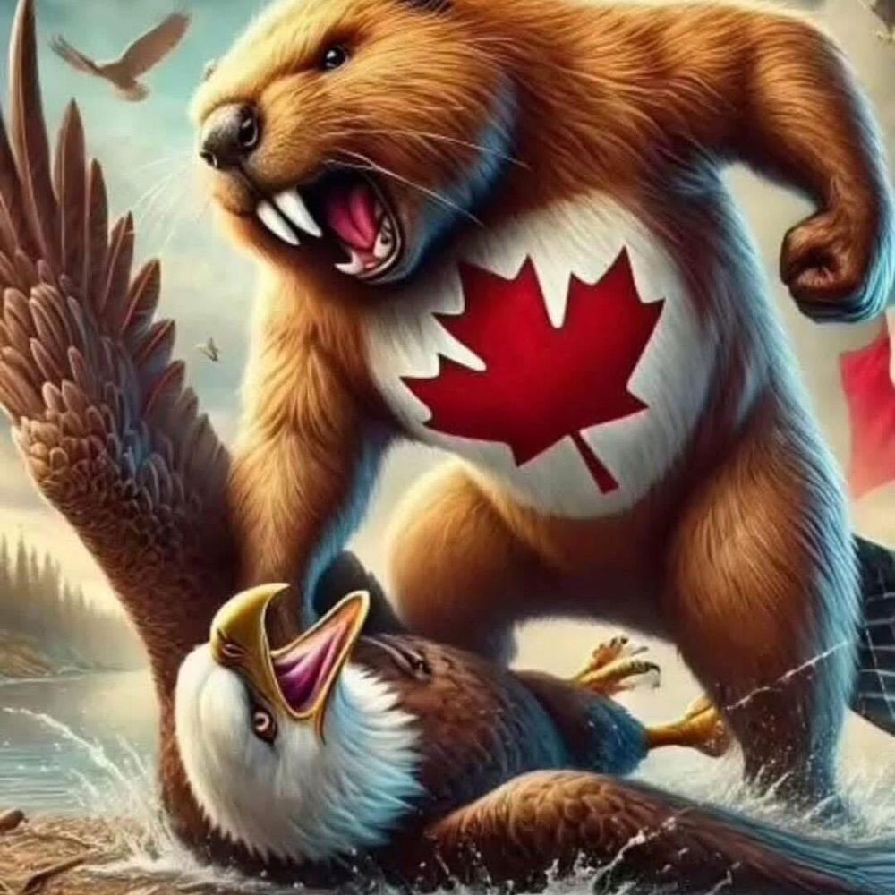 Noel in Progress 🇨🇦