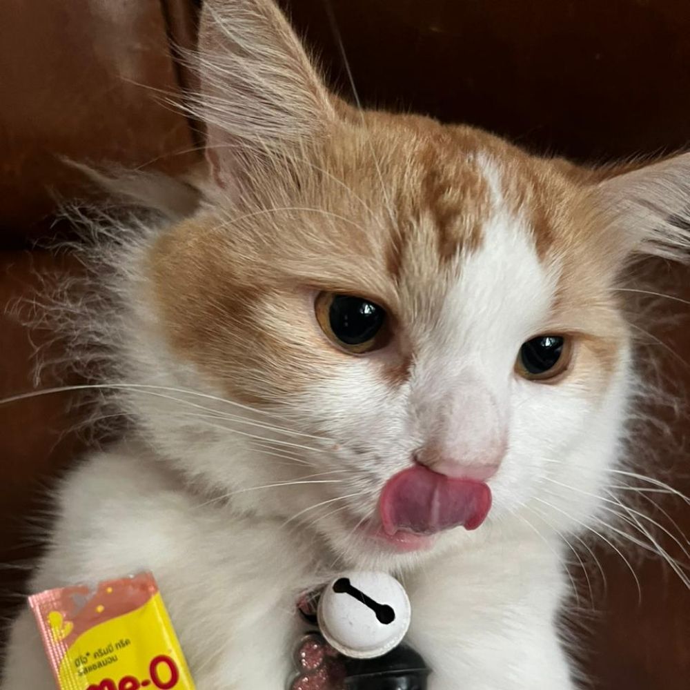 liloganteng