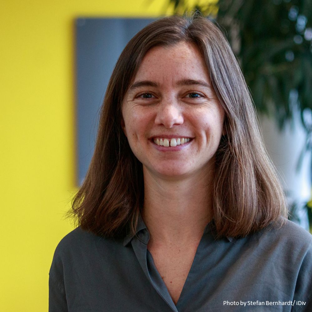 Lena Sachsenmaier
