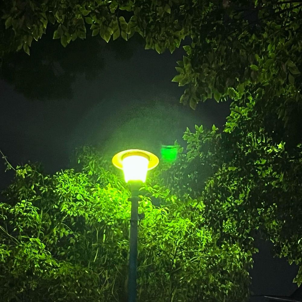 想真