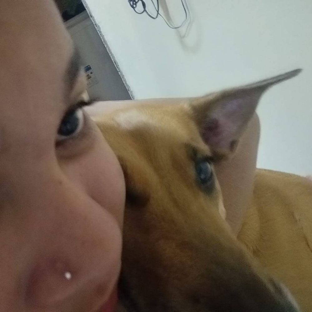 Babiela