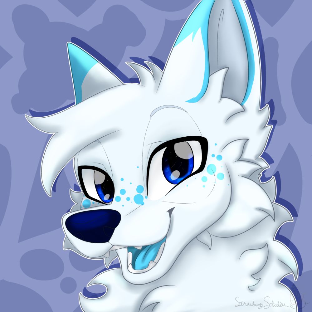 Nyx 🦊