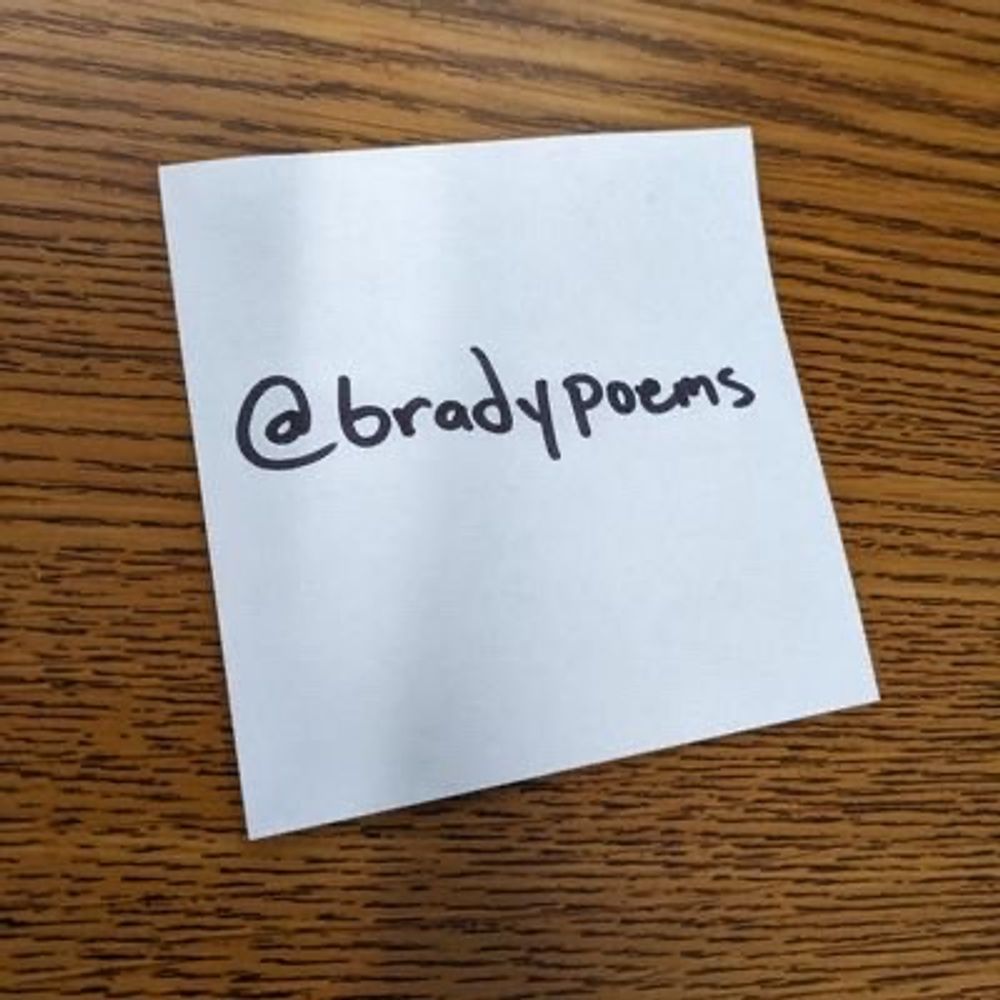 bradypoems