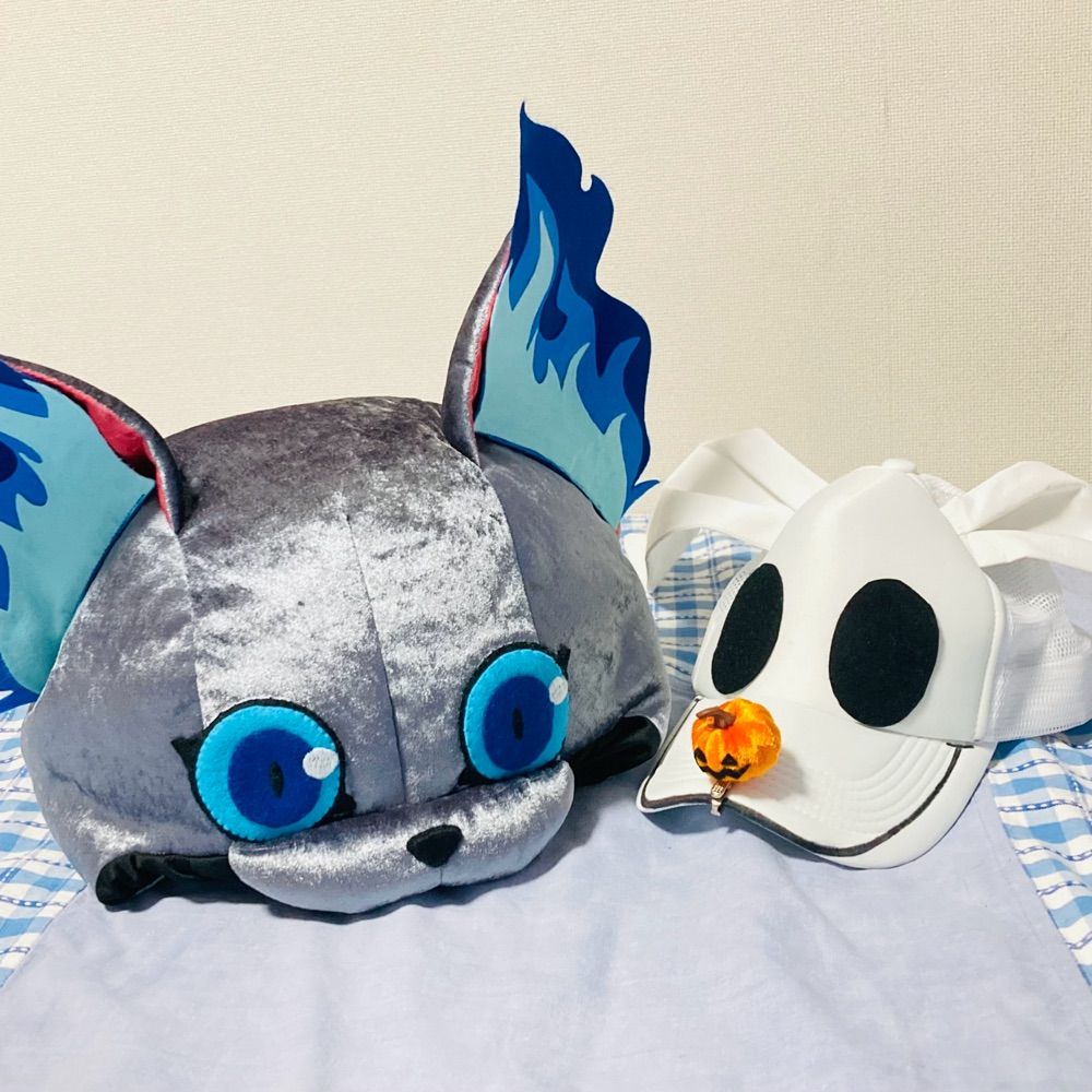 ツナ缶をしょった灰猫🐈‍⬛🐟