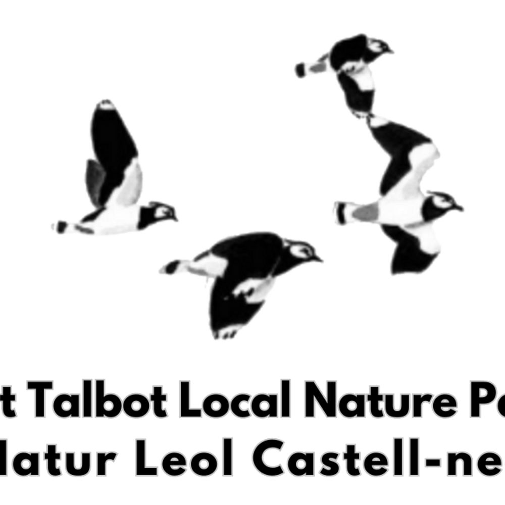 Neath Port Talbot Local Nature Partnership