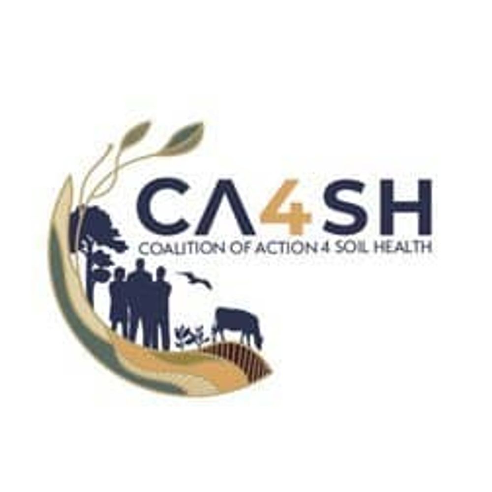 CA4SH_Global 