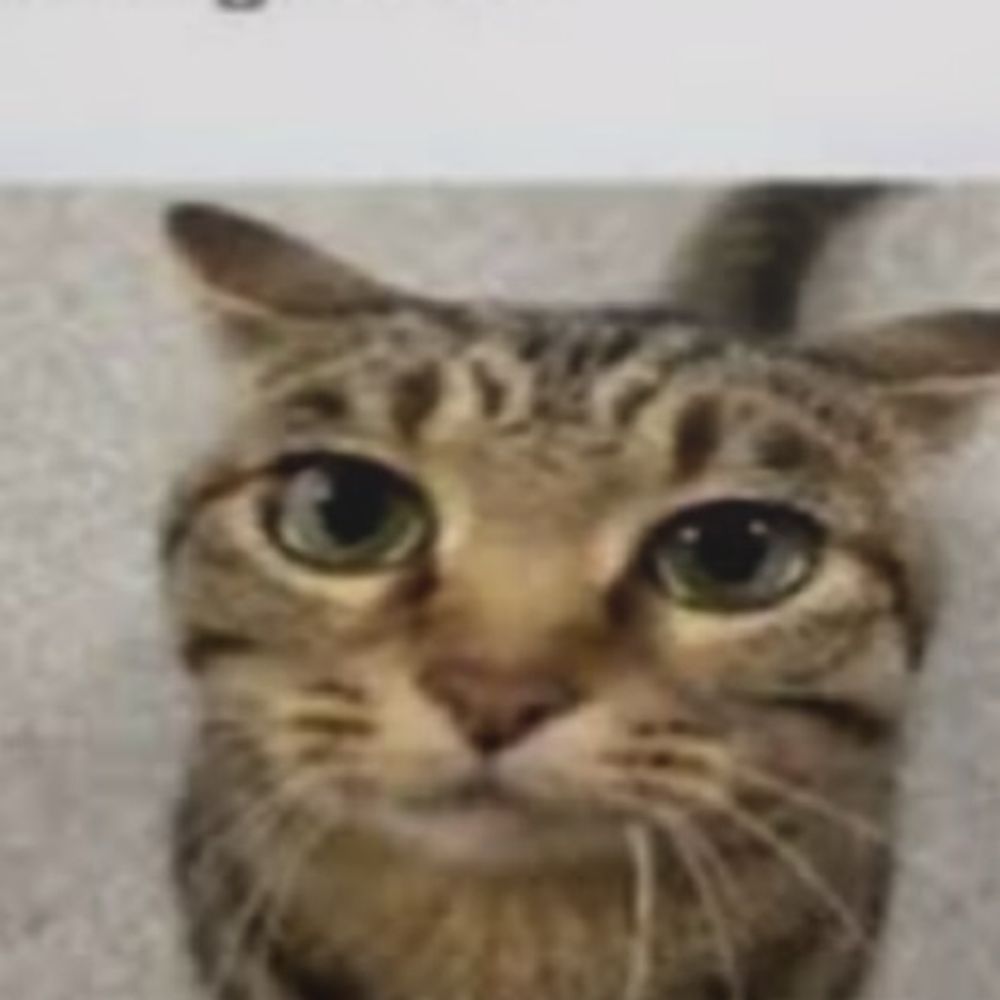 Eesh 