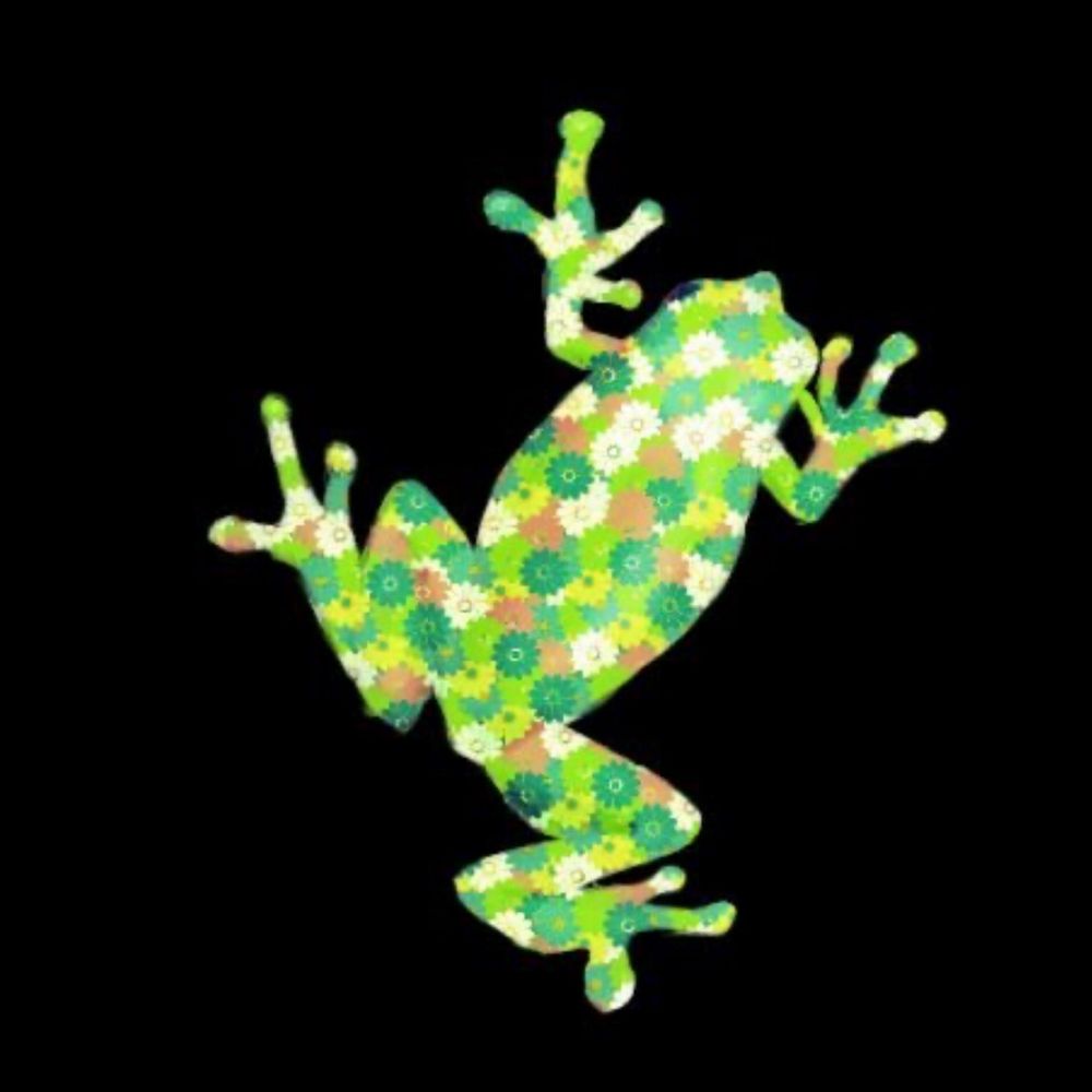 kumakko
