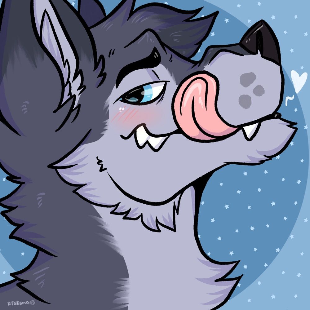 Shane Sniffsbutt