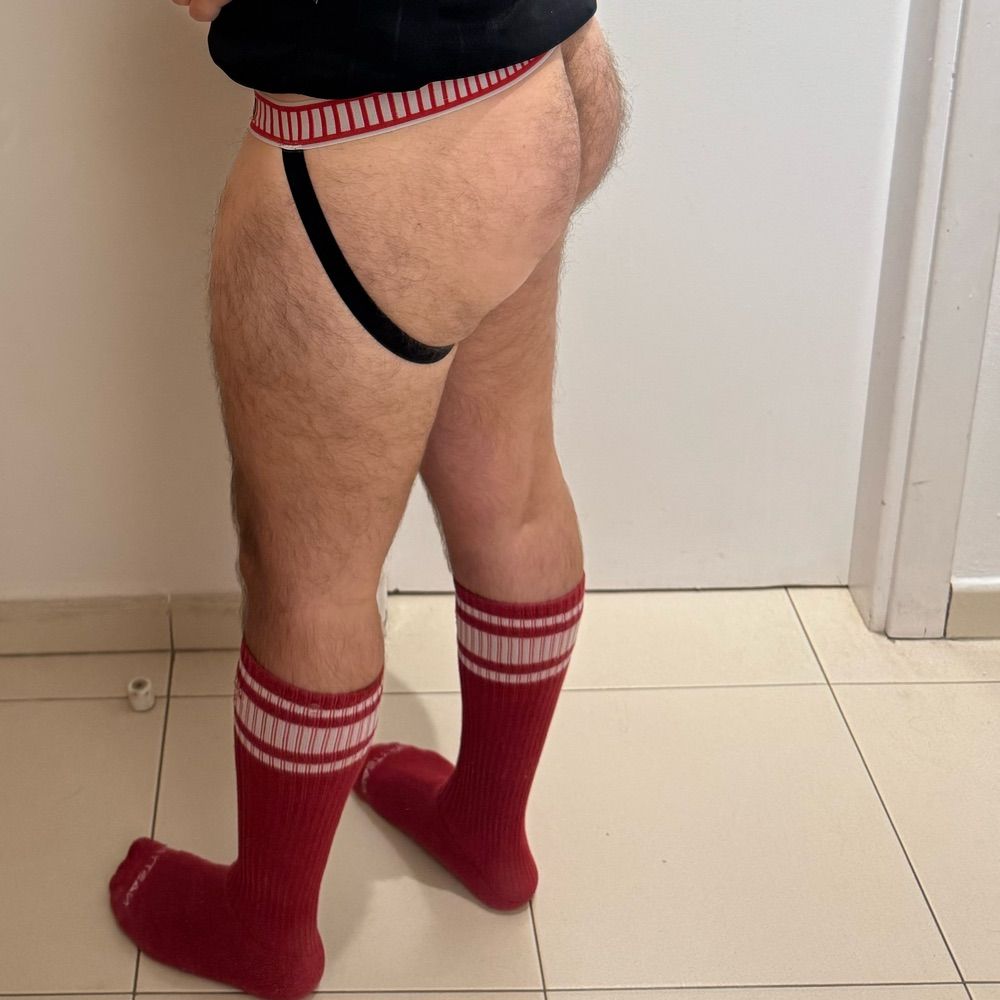 Hairy hung[ry] bear