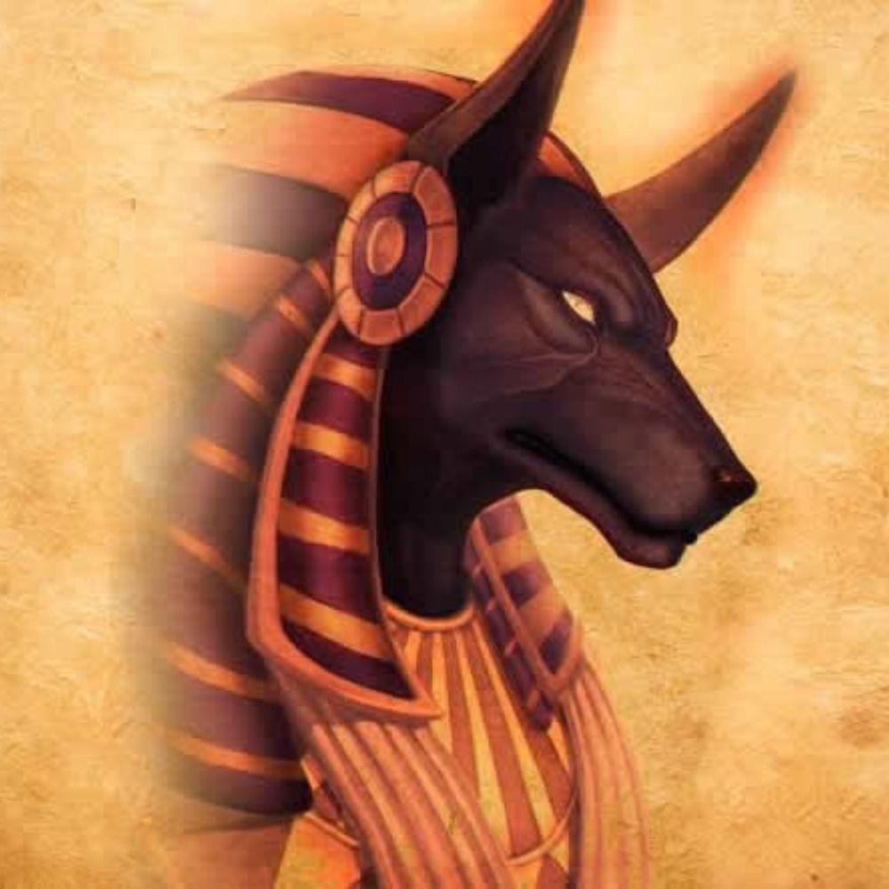AnubisAmonn