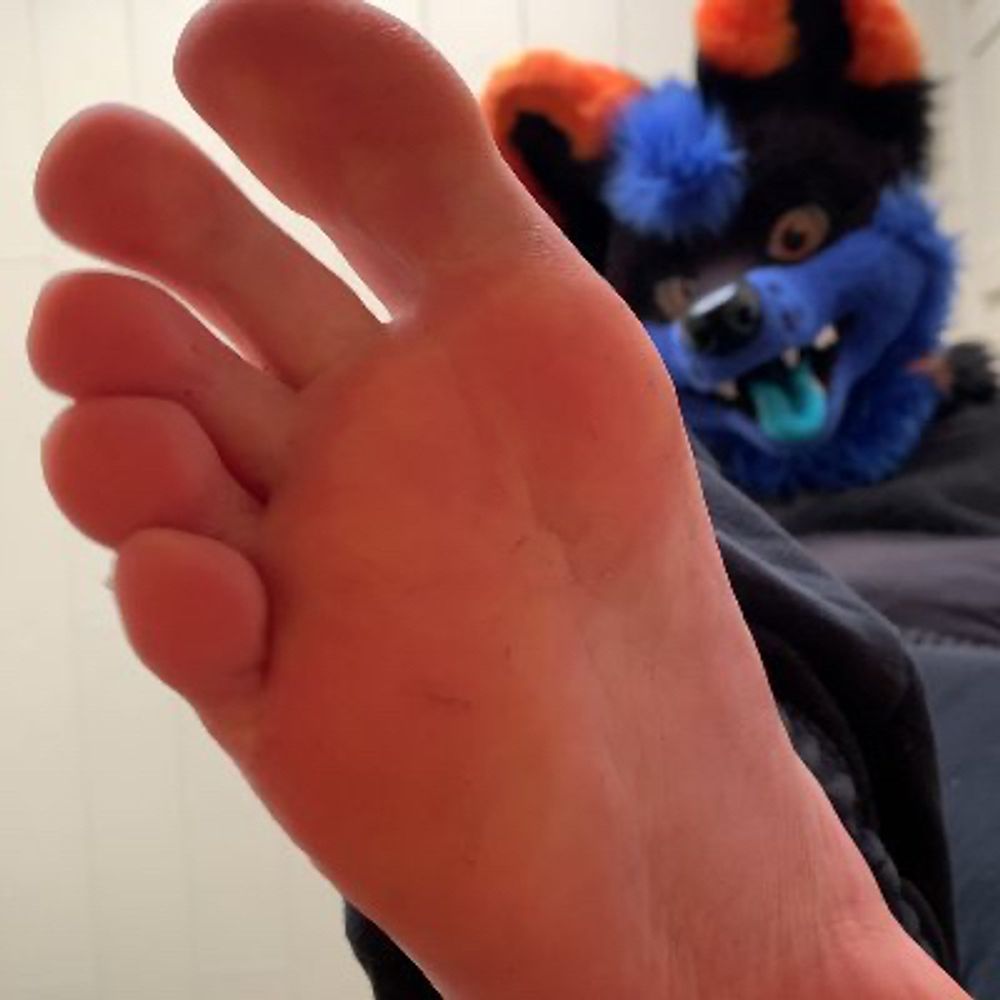 Foxie Feets