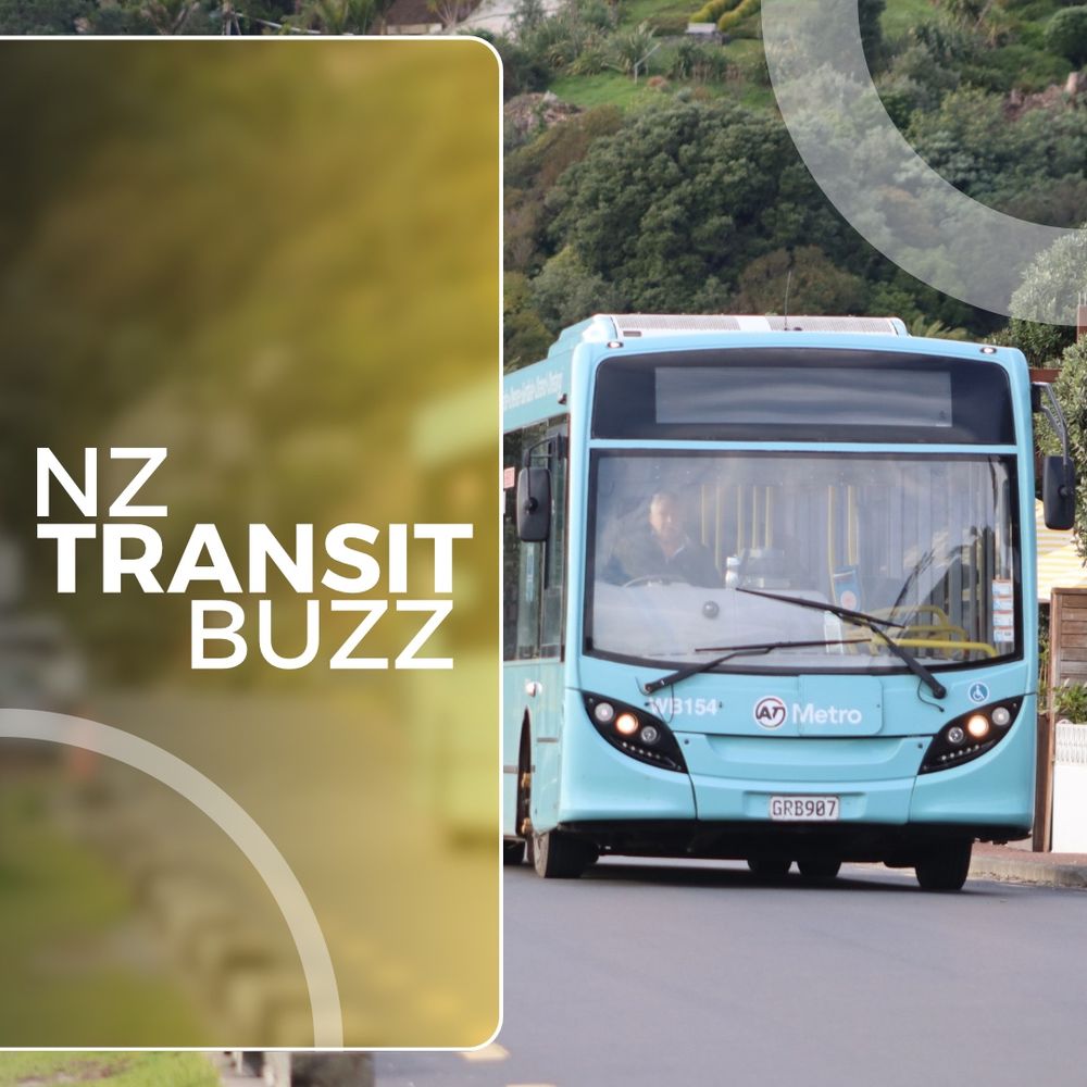 NZ Transit Buzz