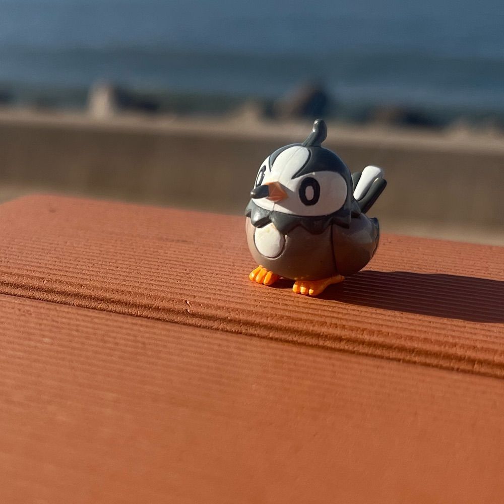 辛夷