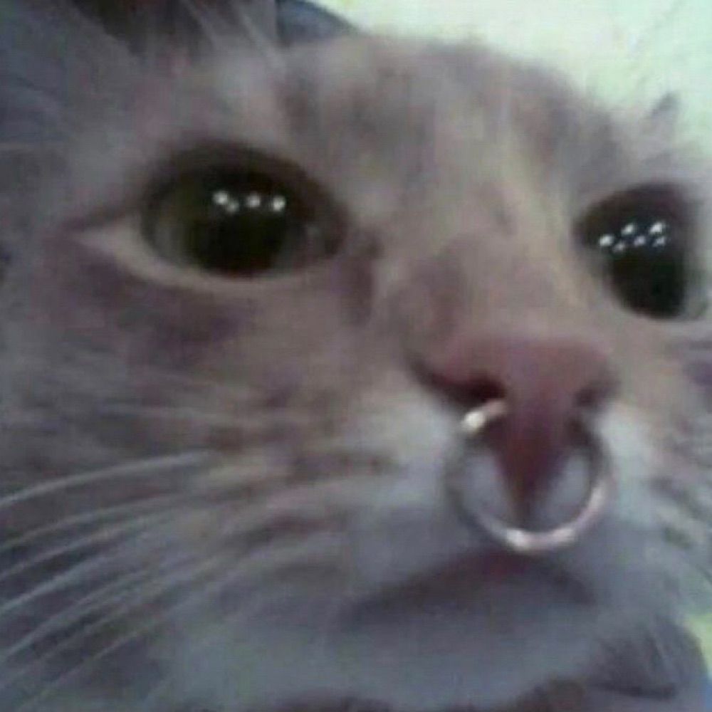 𝓼𝓸𝓱✩