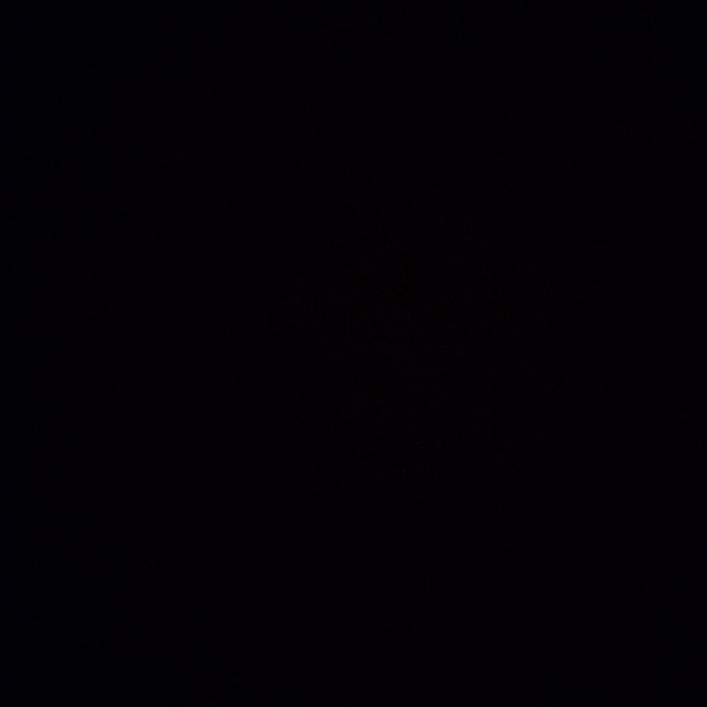 l.e