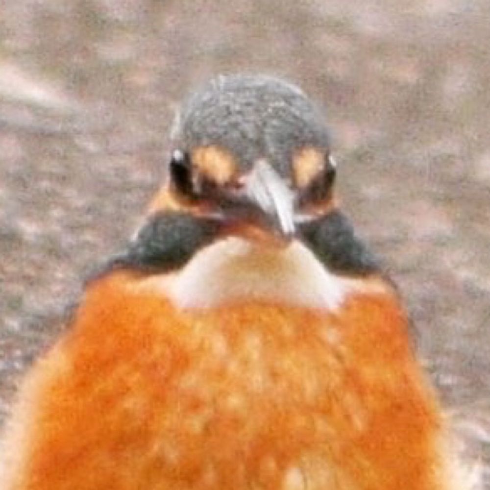 Luminous Orange