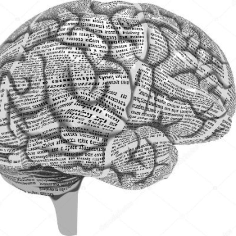 Decision Neuroscience and Neuroeconomics Papers