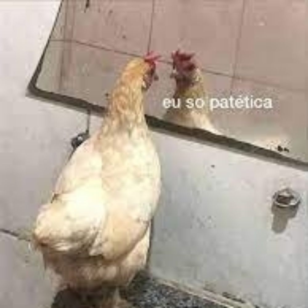 gabizinhatoptop⁷