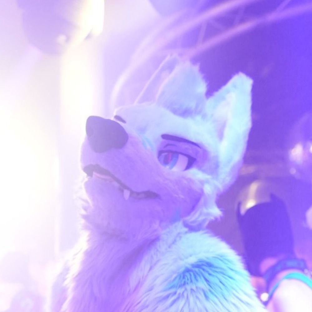 Keenora Fluffball (🔞) 🔜 Purple Clouds, EF, EAST, Reffurence