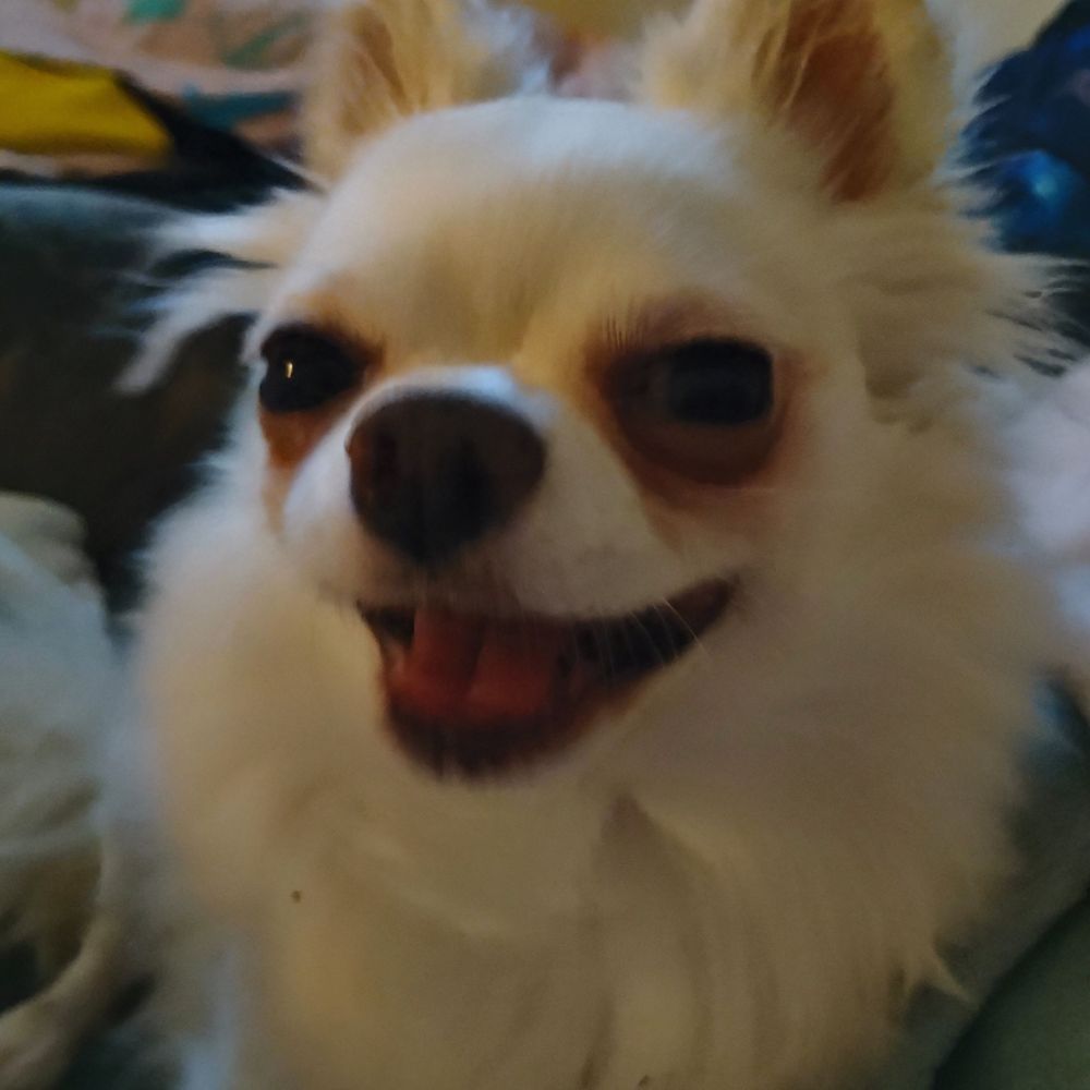 Coco Zana 