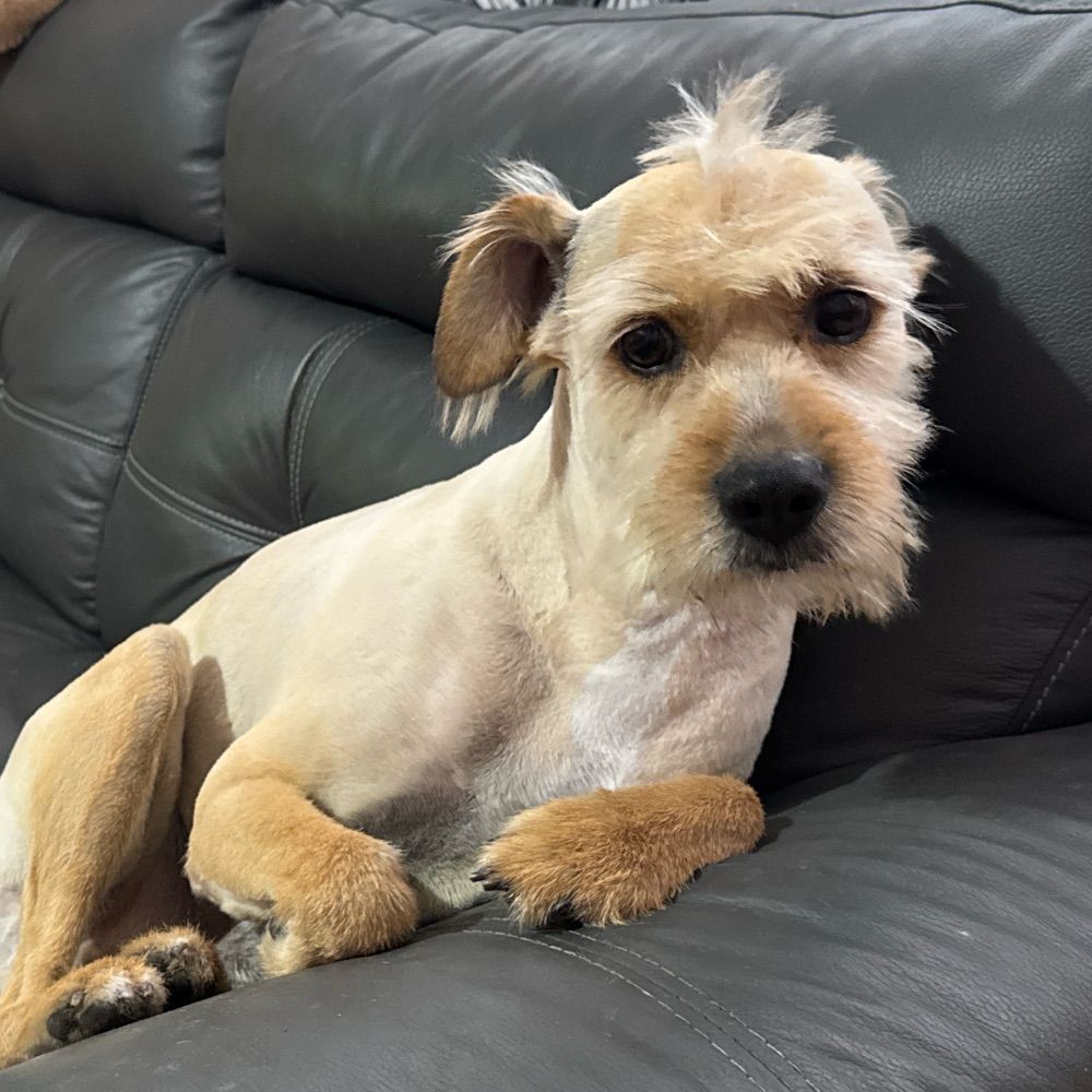 Julio AKA “Julín”
