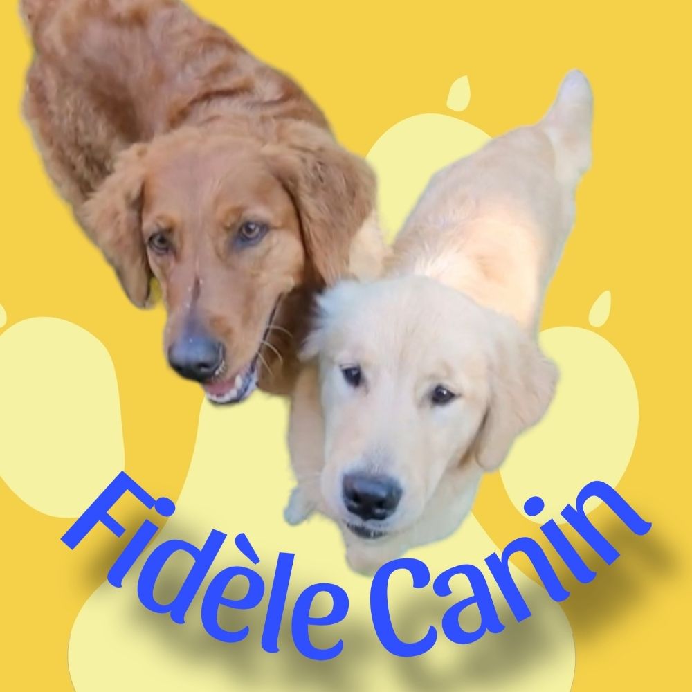 Danielle Gauthier De Varennes, FIDÈLE CANIN