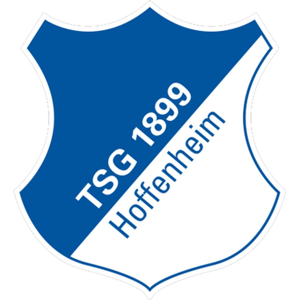 TSG Hoffenheim News Bot