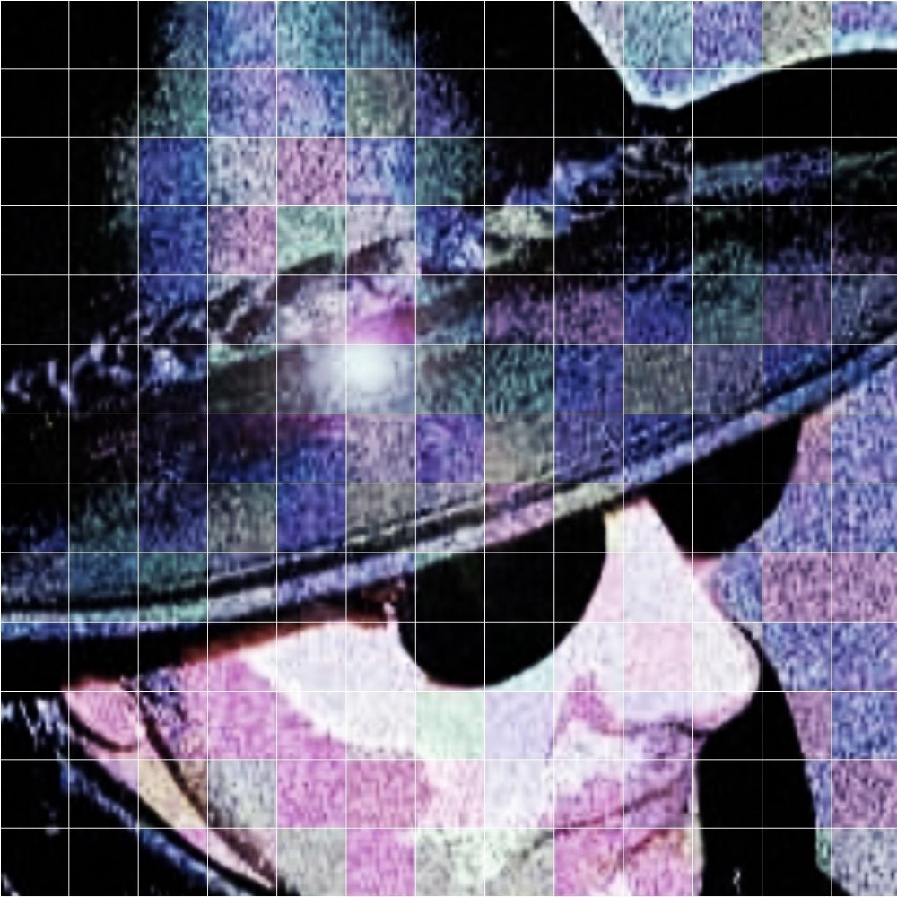 Columbia Spy
