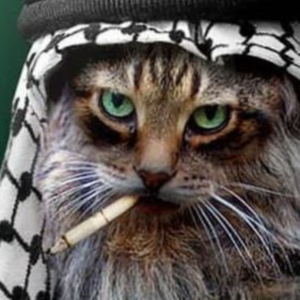 Wuestenprophet