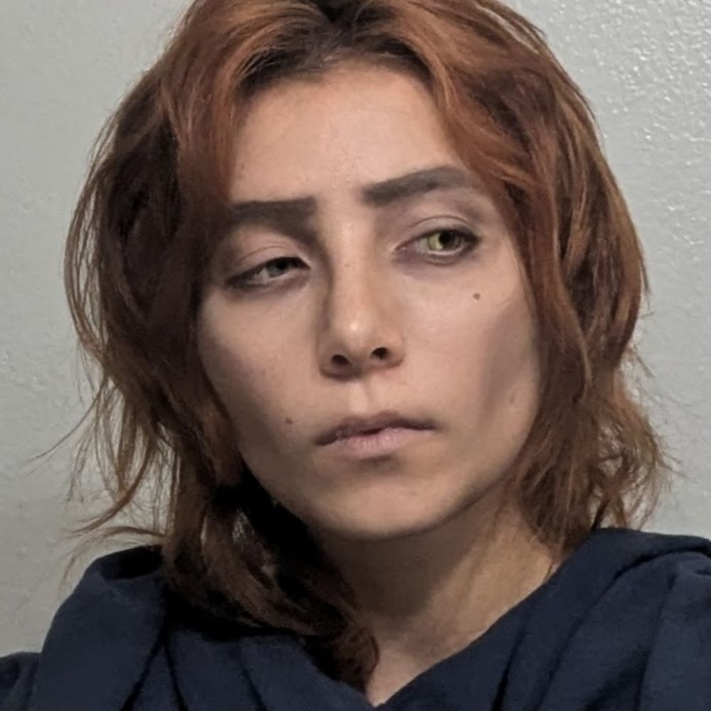 Bel