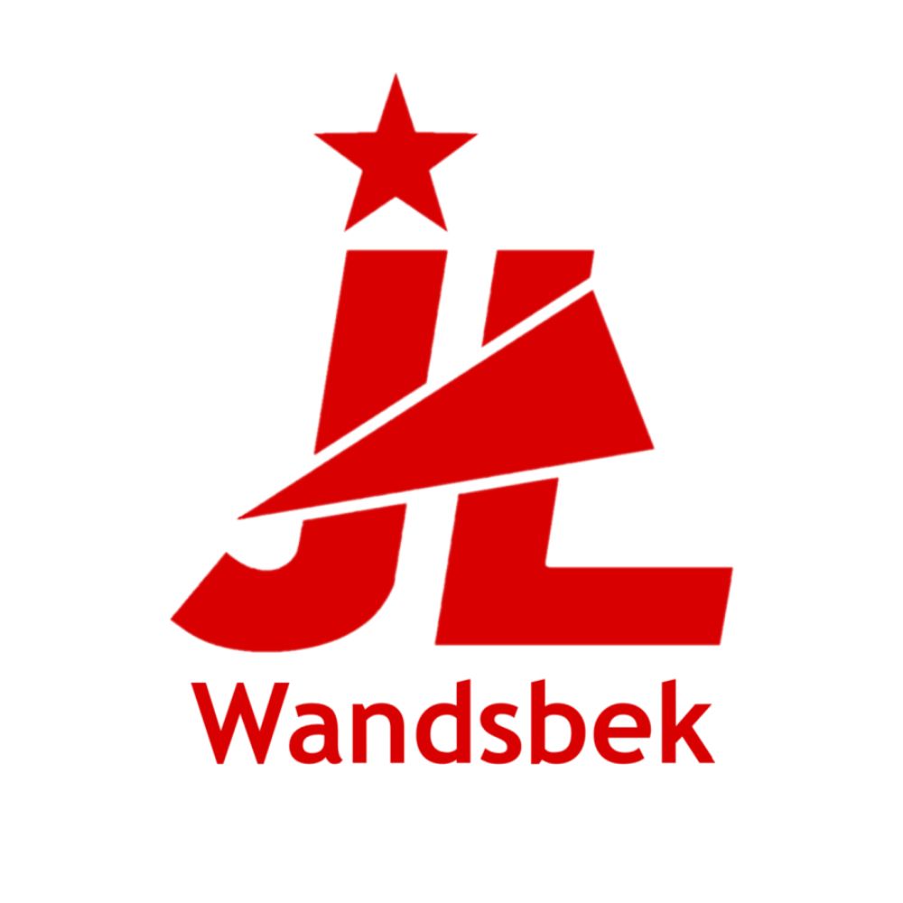 Junge Linke Wandsbek