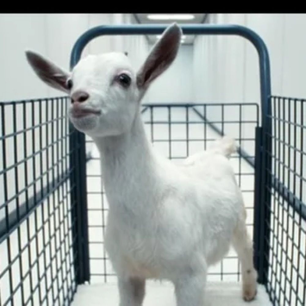 Emile da GOAT