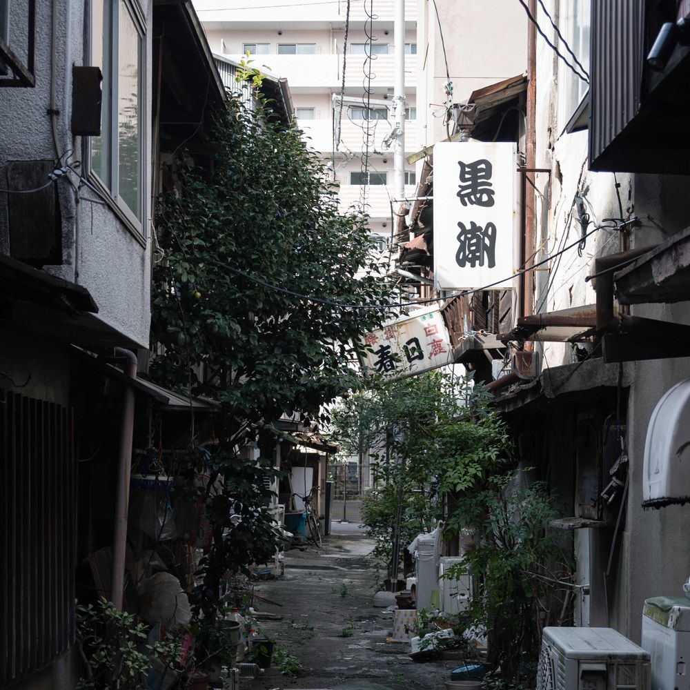 ハメ太郎