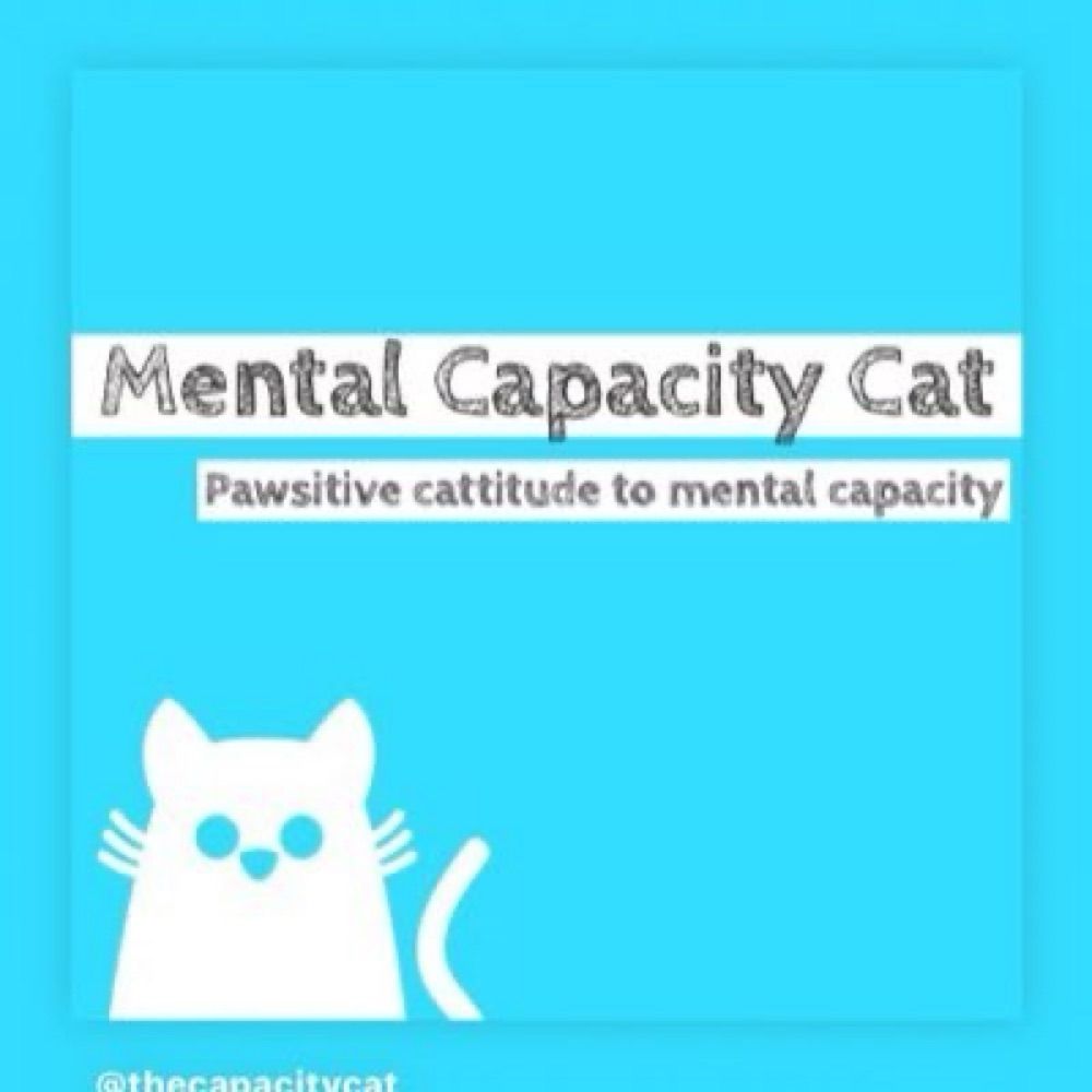 Mental Capacity Cat - Hannah Nicholas