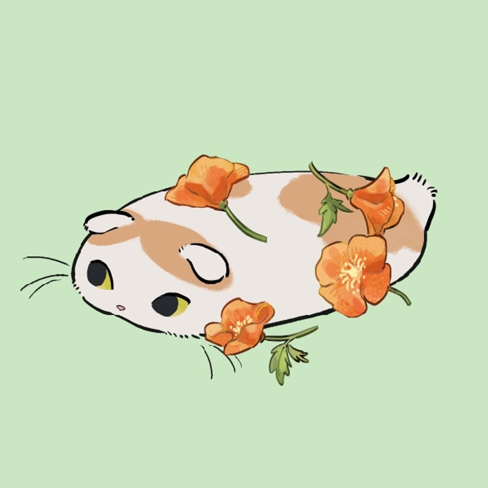 ぶどうのタルト