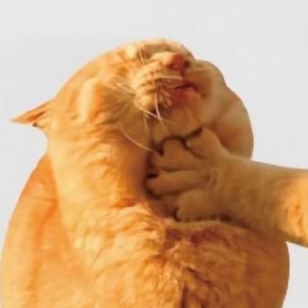 햄쮝