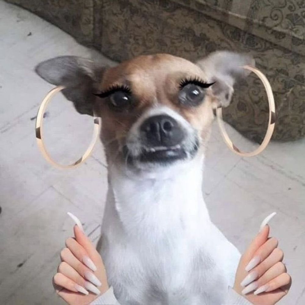 Palbo