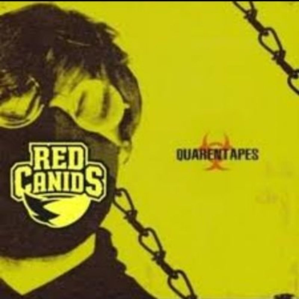 Quarentapes505