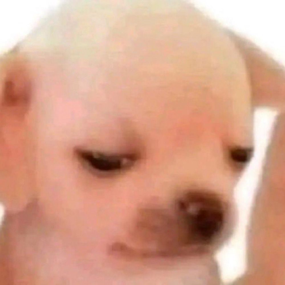 Dodo