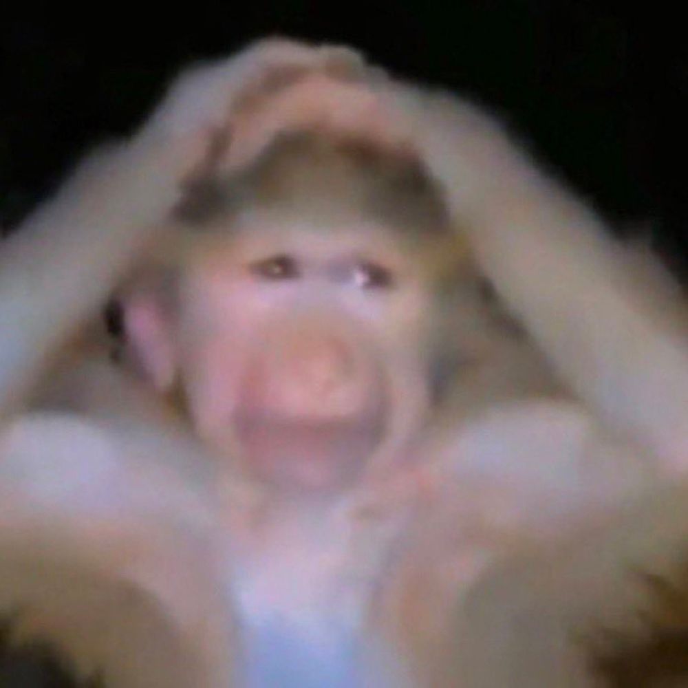 ANXIOUUS