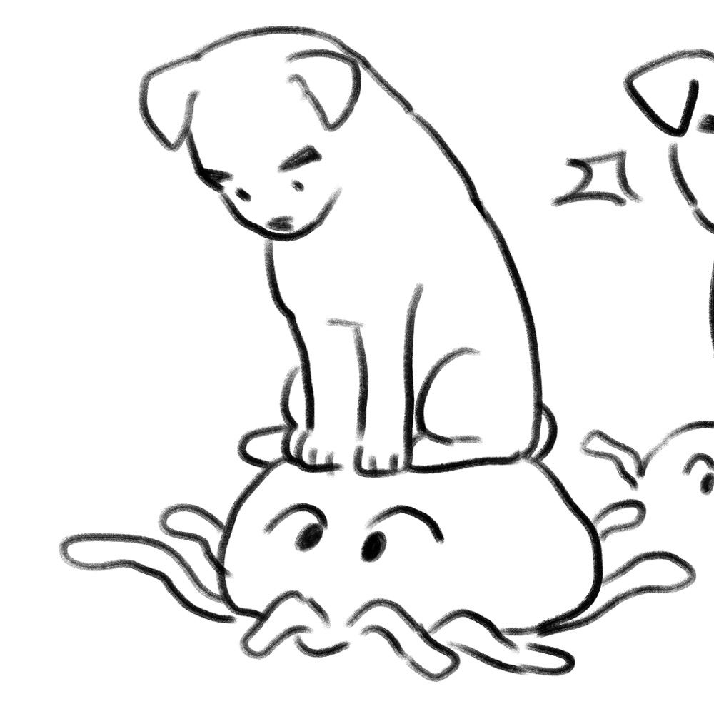 시경