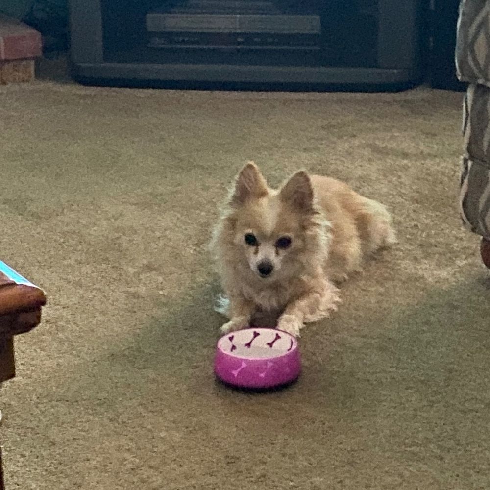 otakugirlz22.bsky.social