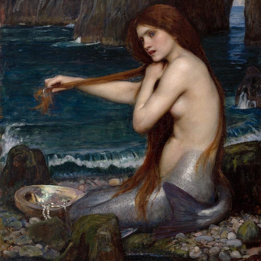 Enza Paz 🧜‍♀️