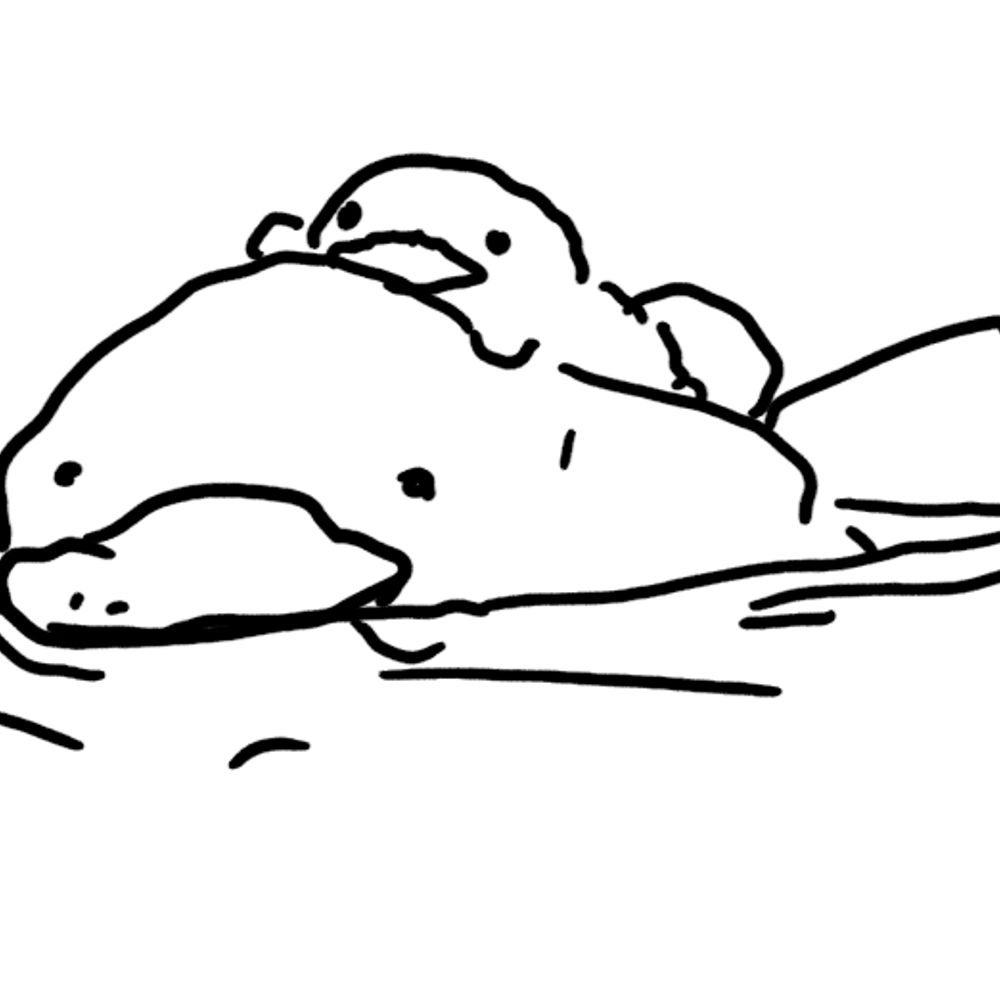 하루냥