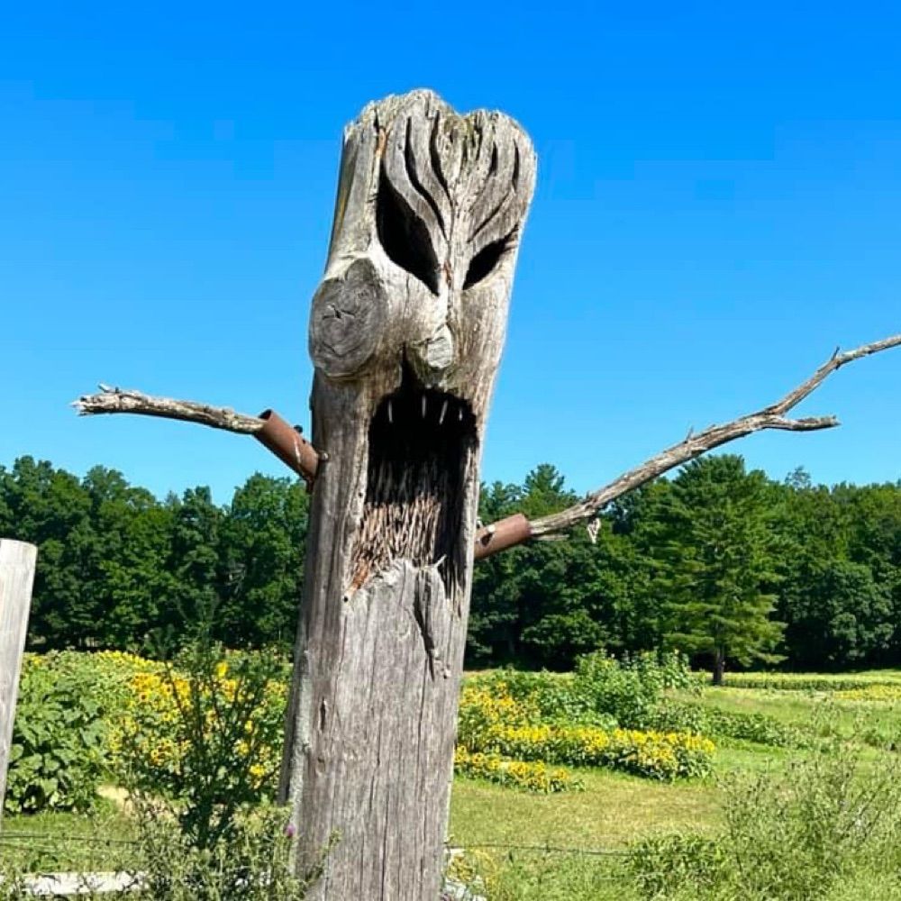 MA
