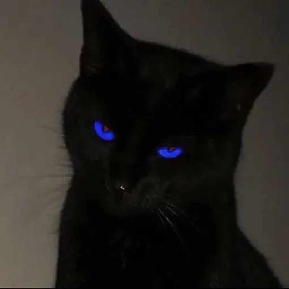 SKELECAT
